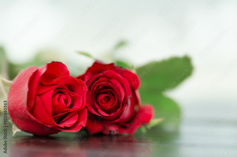 Beautiful red rose, Valentine day Beautiful red rose, Valentine day