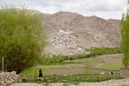 view of Chemday gonpa, monastery, Ladakh, India photo