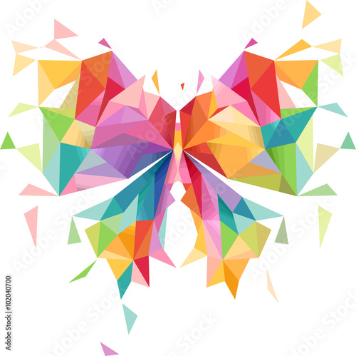 Abstract Butterfly Geometri...