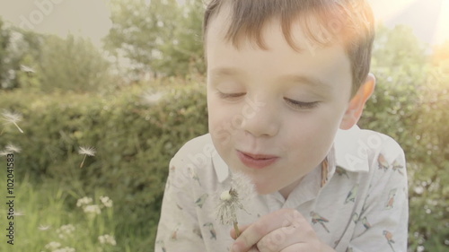 A little boy in a spring meadow blows the seeds off a germinating dandelion. As he blows the seeds glide through the air. Shot in super slow-motion at 240fps.