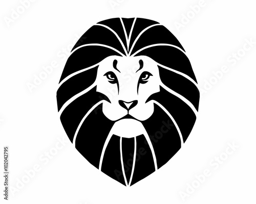 Fototapeta Naklejka Na Ścianę i Meble -  lion head vector