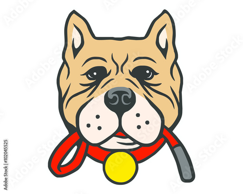 pitbull dog pet vector