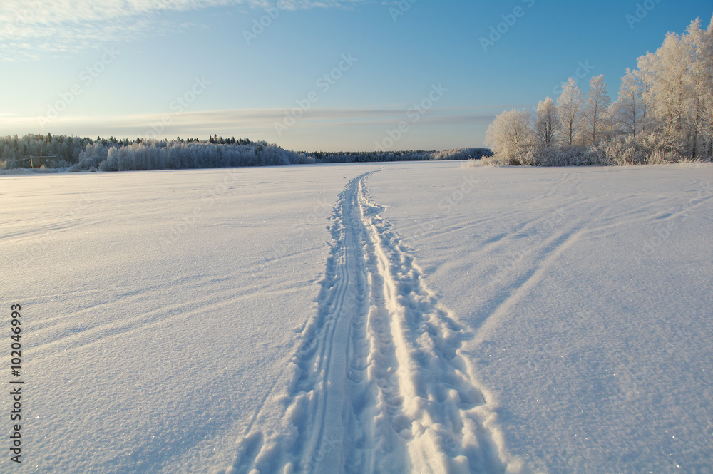 Winter frozen lake