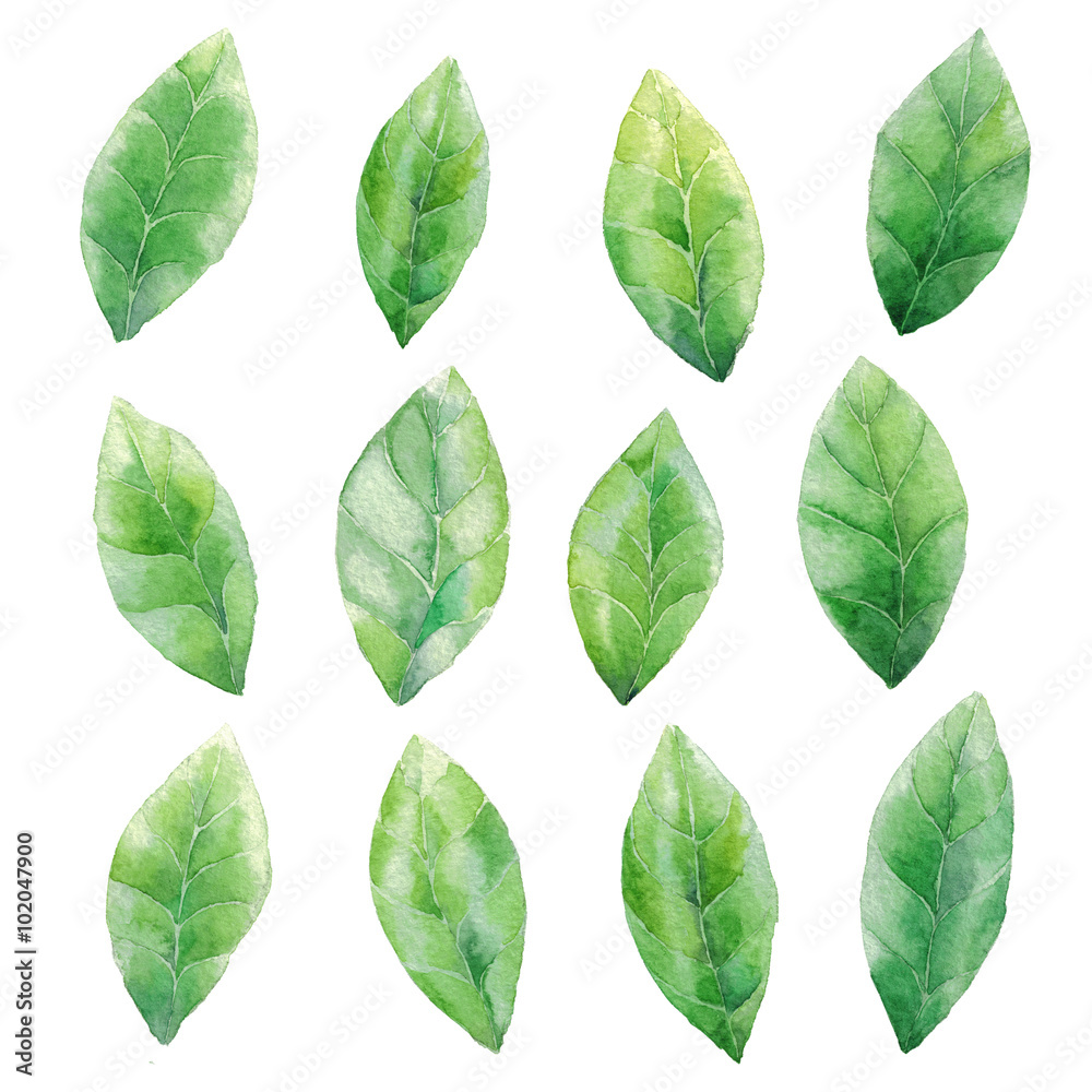 Watercolor green leaves pattern background Watercolor green leaves pattern background