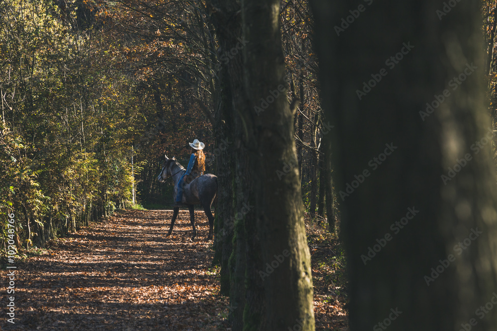 Pretty girl riding her grey horse Pretty girl riding her grey horse