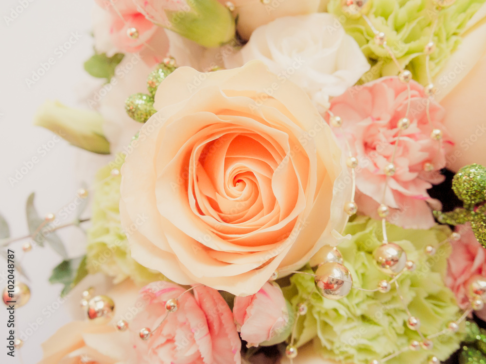 Soft rose Soft rose