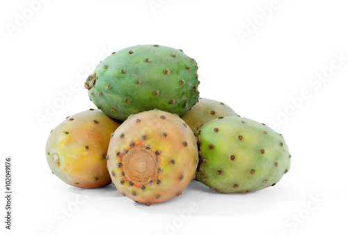 Photos cactus