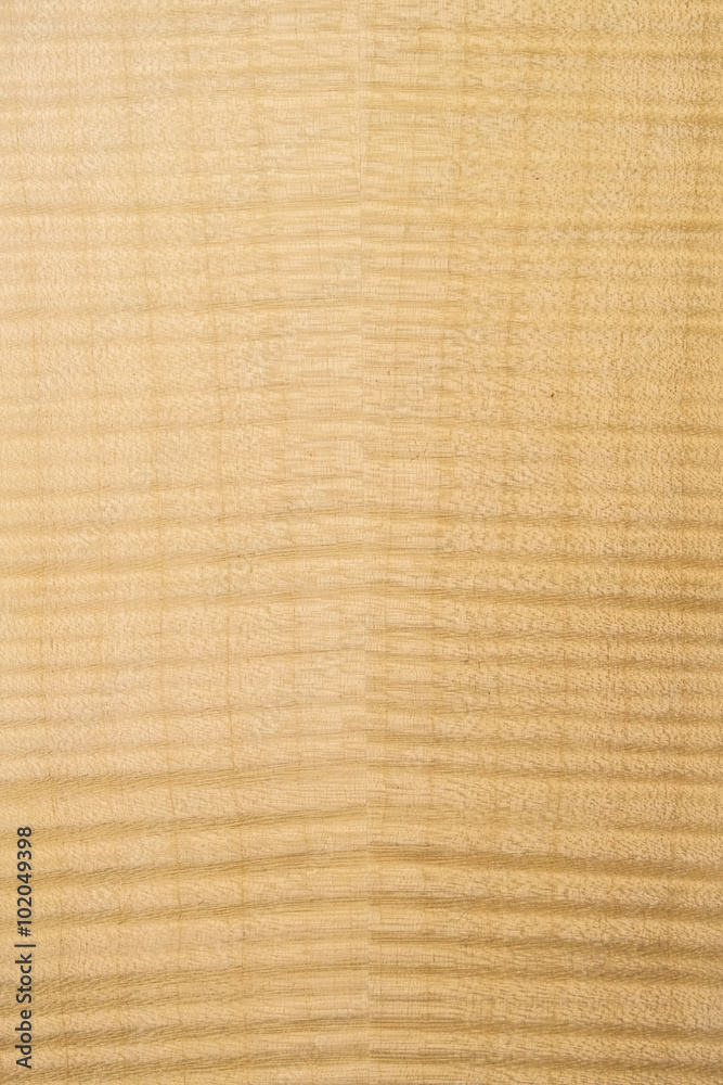 Fototapeta premium Texture of wood background