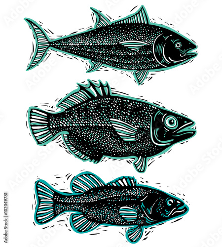 Set of vector fishes, diffe...