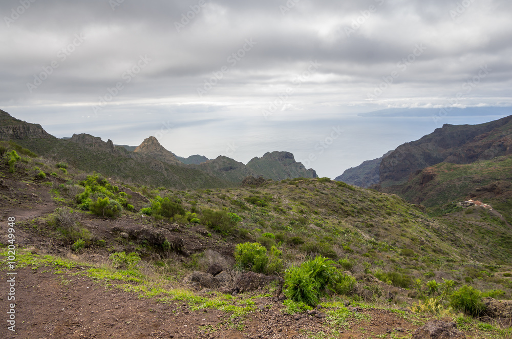 Fototapeta premium Tenerife