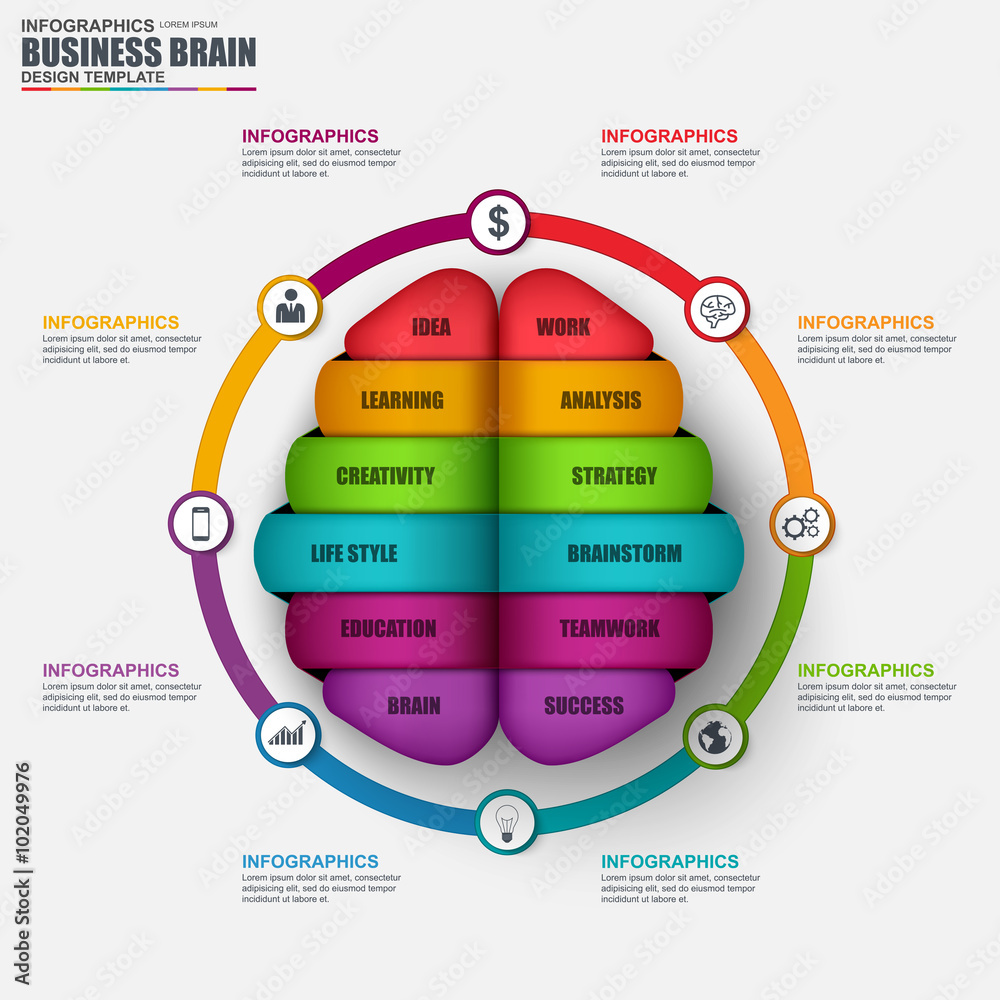Infographic brain vector design template Stock Vector | Adobe Stock