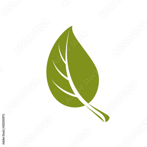 Simple flat green deciduous vector tree leaf, nature element