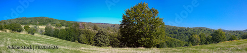 Panoramic view of field from central Serbia © Vladislav Gajic