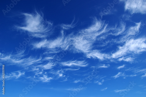  white clouds