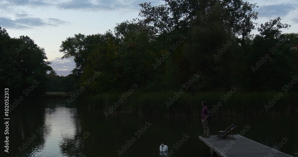 Man is Standing on Wooden Pier White Swan is Swimming at Pier Man is Looking to the Right Turns Stretches His Hand to Swan Goes Away Deck Chair on Pier Man is Standing on Wooden Pier White Swan is Swimming at Pier Man is Looking to the Right Turns Stretches His Hand to Swan Goes Away Deck Chair on Pier