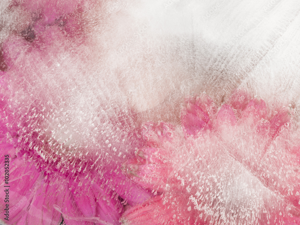 Fototapeta premium organic tender pink beautiful abstraction
