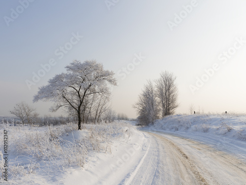 The cold winter in the Moscow region
