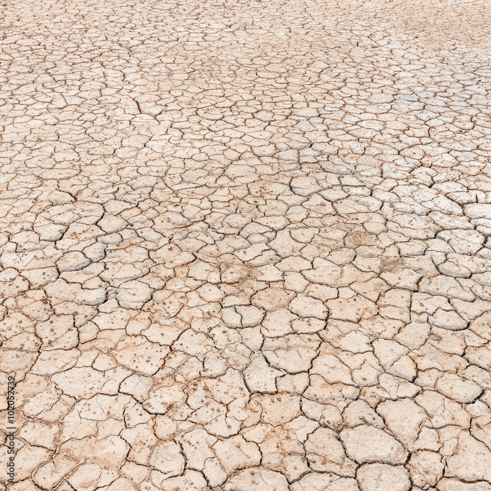 cracked soil texture cracked soil texture