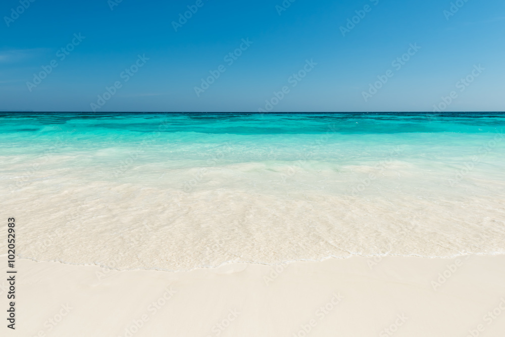 beautiful beach and tropical sea