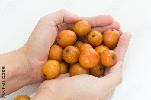 fresh jujube fruit in the hands