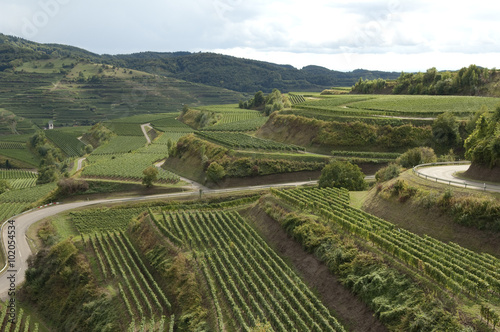 Weinterrassen, Kaiserstuhl