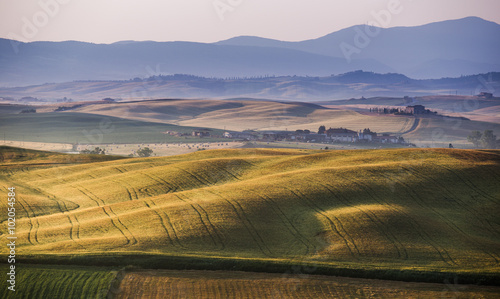 Early morning on countryside  San Quirico d  Orcia  Tuscany  Ita
