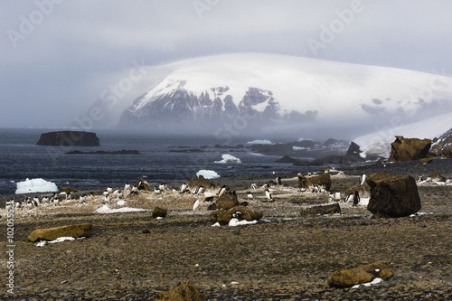 Brown Bluff, Antarctica