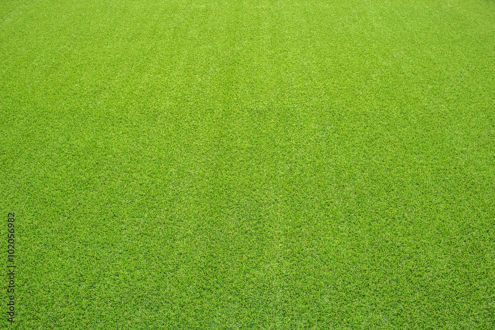 artificial grass, perspective - obrazy, fototapety, plakaty 