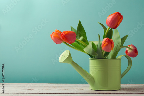Photo Spring tulip flower bouquet in watering can with copy space