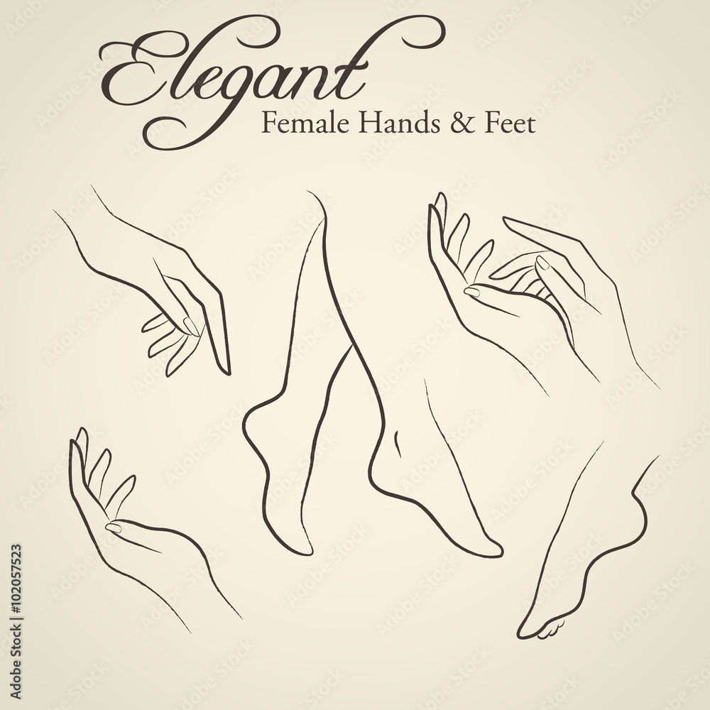 Elegant silhouettes of female hands and feet - obrazy, fototapety, plakaty 