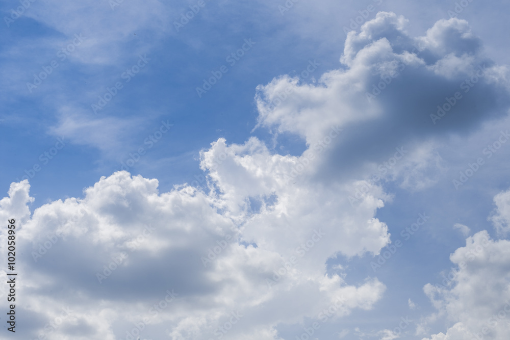 Fototapeta premium Blue sky background with white cloud.