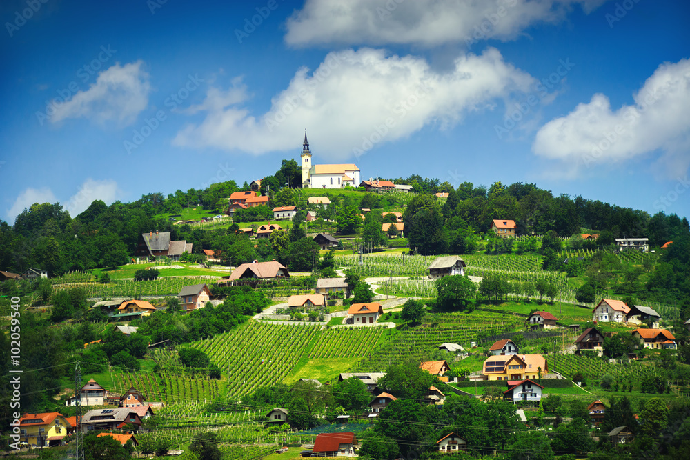 Panoramic view at beautiful village in Slovenia