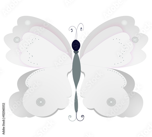 farfalla