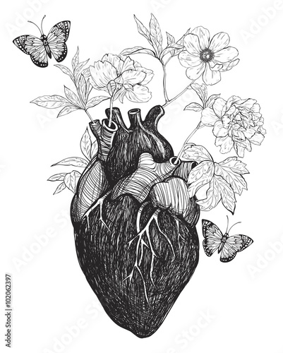 Human anatomical heart whith flowers.