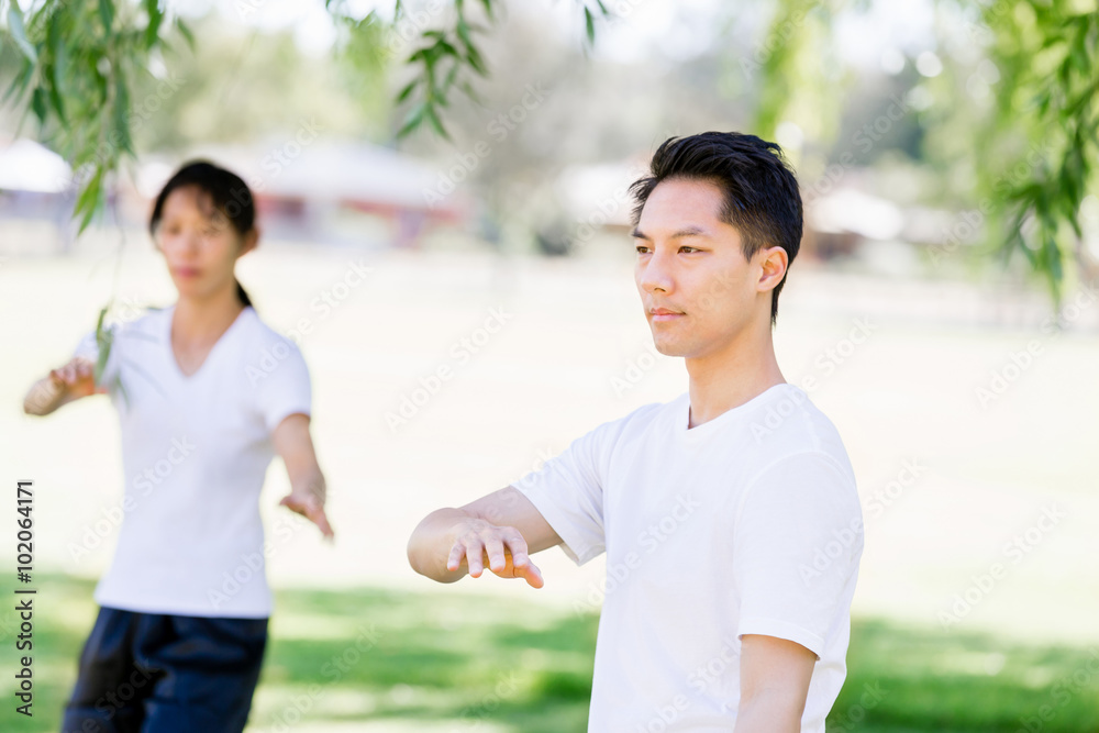 People practicing thai chi in park