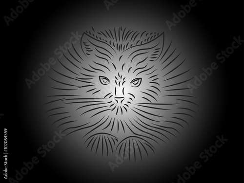 Кот