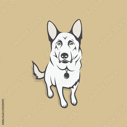 German Shepherd dog