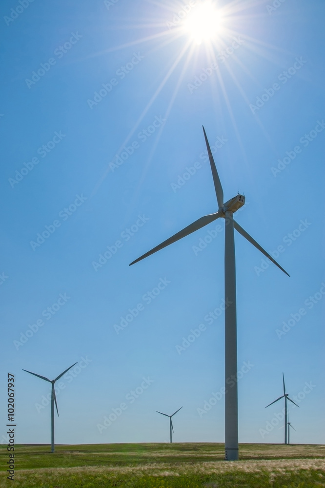 Windmills on field, sun in blue sky