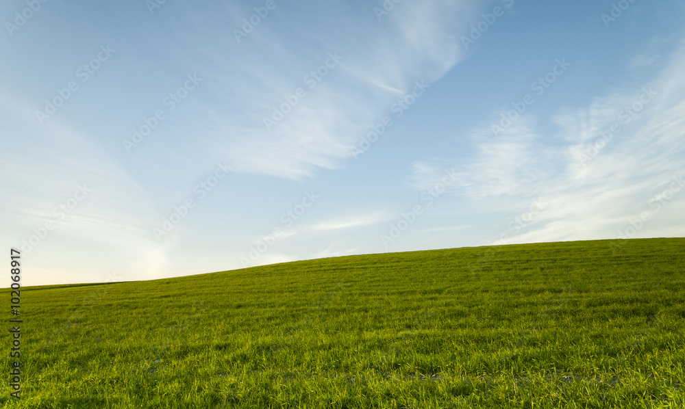  Green field and Blue cloudy Sky Environment