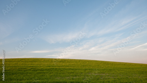 Fototapeta Naklejka Na Ścianę i Meble -   Green field and Blue cloudy Sky Environment