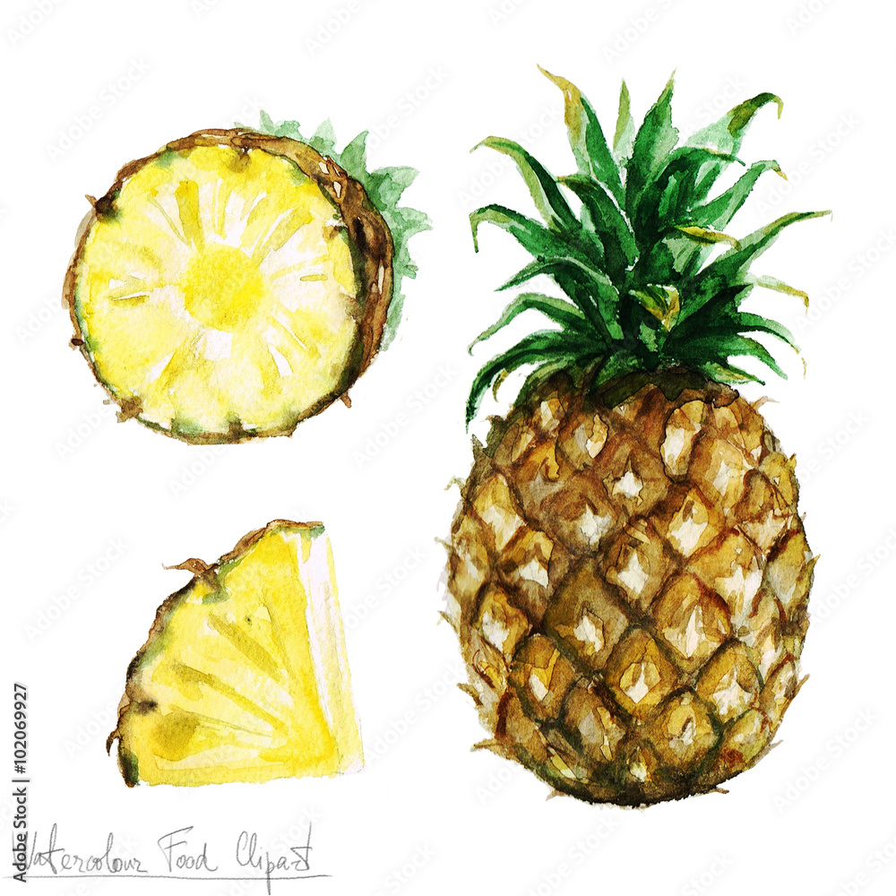 Watercolor Food Clipart - Pineapple Watercolor Food Clipart - Pineapple