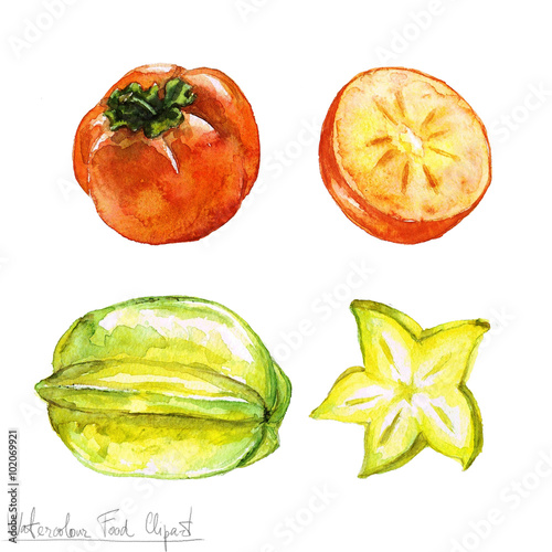 Watercolor Food Clipart - Persimmon and Carambola