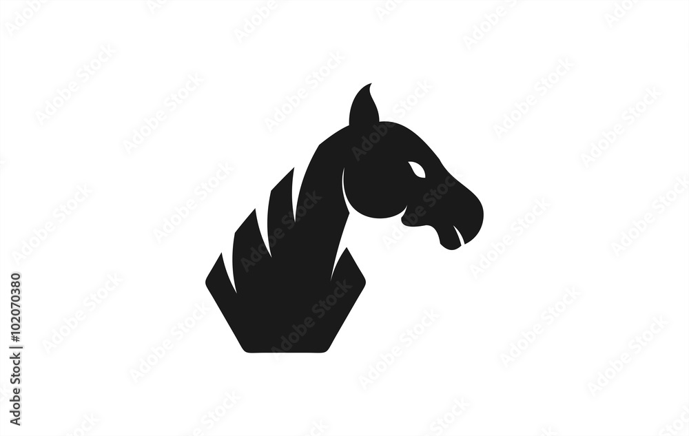 head horse