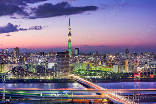 Tokyo, Japan Skyline photo