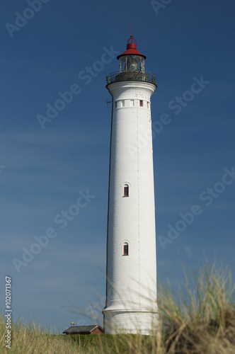 Lynvig Lighthouse against blue sky at the Danish North Sea coast  Lynvig Fyr  Noerre Lyngvig  Jutland  Denmark  Europe  