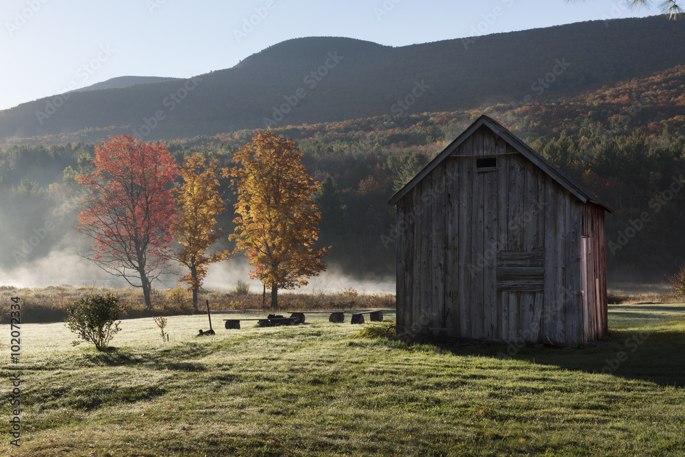Catskill Mountain Barn with Autumn Trees - Sunrise in the northern Catkill Mountains, with brighly lit autumn trees and old wood barn with Black Dome Mountain in the background Catskill Mountain Barn with Autumn Trees - Sunrise in the northern Catkill Mountains, with brighly lit autumn trees and old wood barn with Black Dome Mountain in the background
