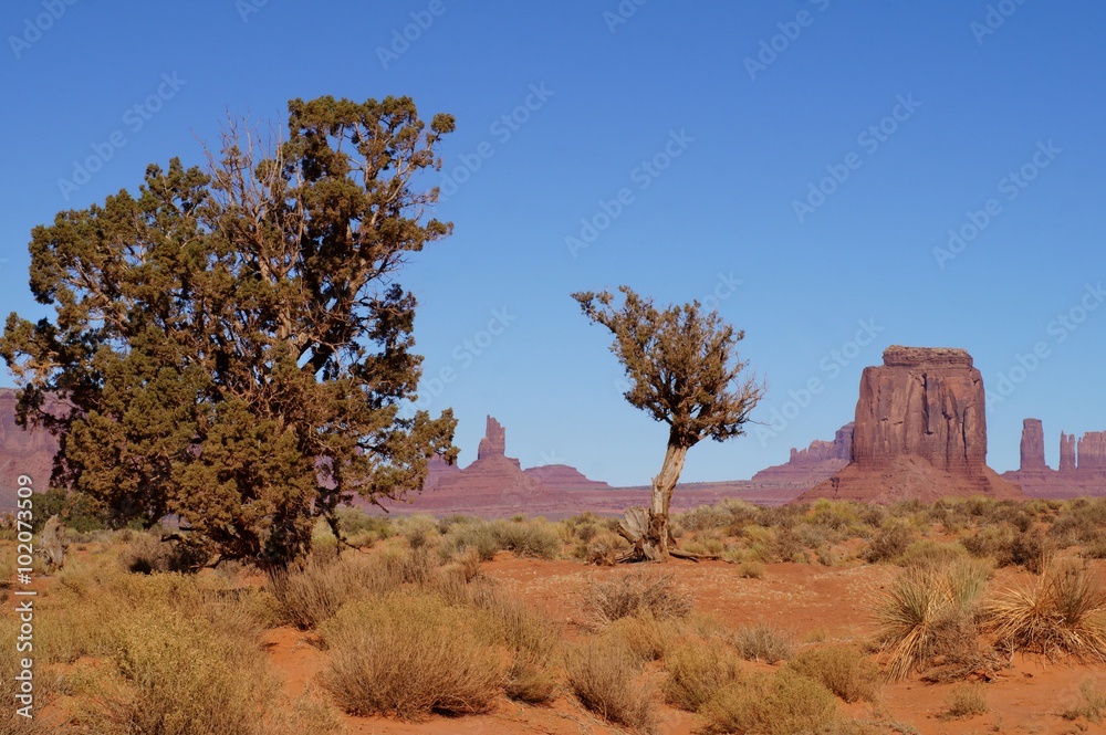 View of Monument Valley Navajo Tribal Park View of Monument Valley Navajo Tribal Park
