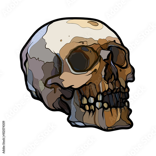 Abstract outline old human skull