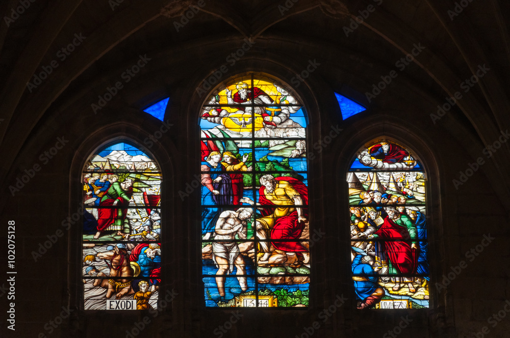 Vidriera de la catedral de Segovia, Castilla y León, España