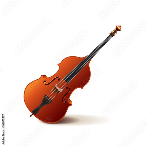 Contrabass isolated on white vector